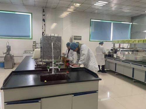 河南三劍客食品科技 向新挖潛，技術服務驅動效益提升